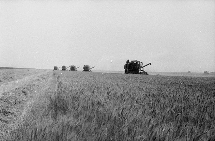 minerva_Agrar_c1_c4r5_001