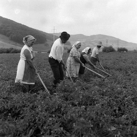 minerva_Agrar_c1_c5r1_001