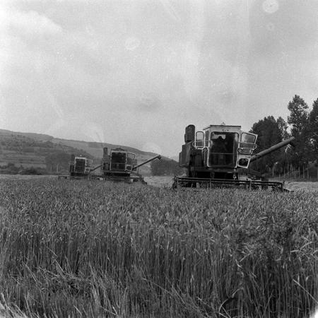 minerva_Agrar_c1_c5r1_009