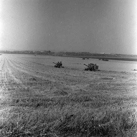 minerva_Agrar_c1_c5r1_038