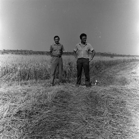 minerva_Agrar_c1_c5r1_039