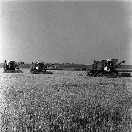 minerva_Agrar_c1_c5r1_044