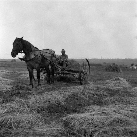 minerva_Agrar_c1_c5r3_004