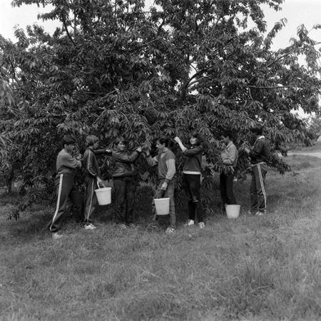 minerva_Agrar_c1_c5r3_009