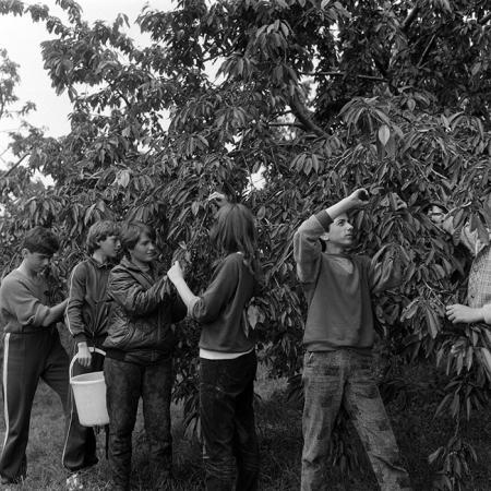 minerva_Agrar_c1_c5r3_012