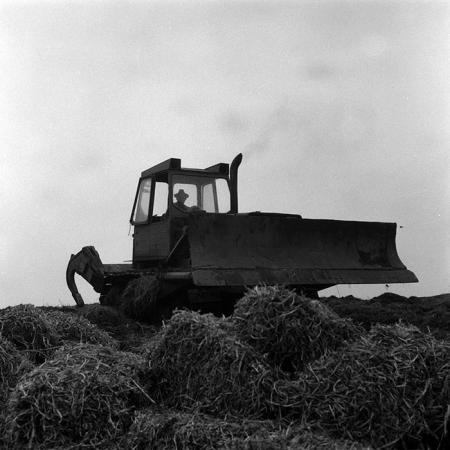 minerva_Agrar_c1_c5r4_007