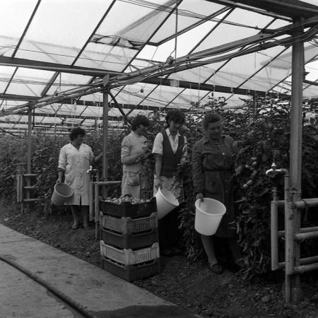 minerva_Agrar_c1_c5r4_010