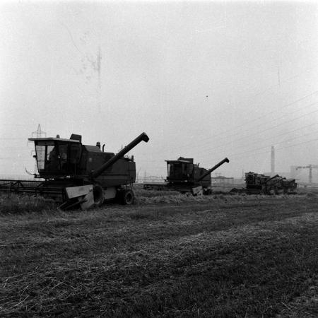 minerva_Agrar_c1_c5r5_014