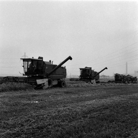 minerva_Agrar_c1_c5r5_015