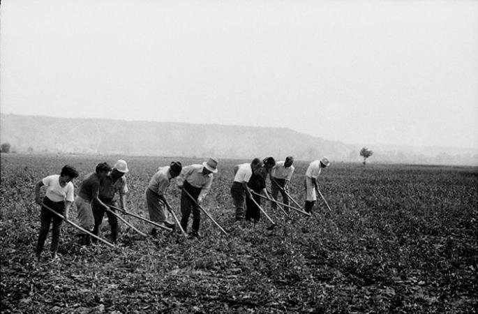 minerva_Agrar_c1_c5r5_045