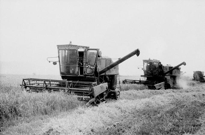 minerva_Agrar_c1_c5r5_050