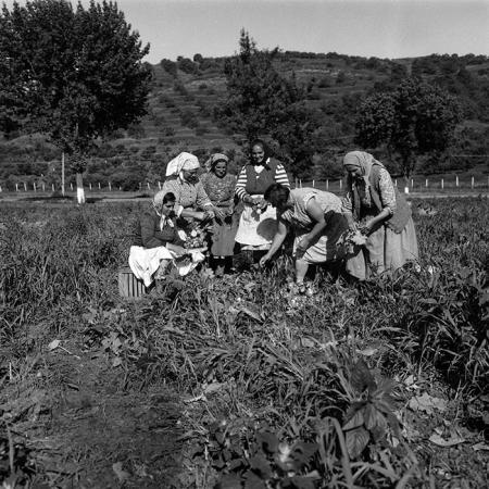 minerva_Agrar_c1_c6r1_002