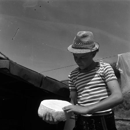 minerva_Agrar_c1_c6r3_012