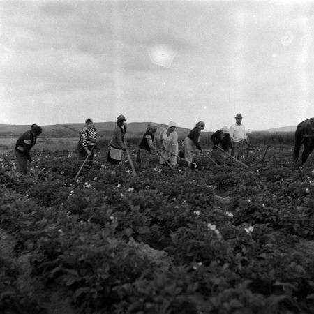 minerva_Agrar_c1_c6r3_015