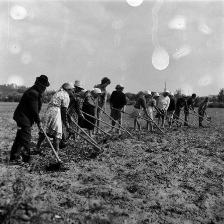 minerva_Agrar_c1_c6r3_023