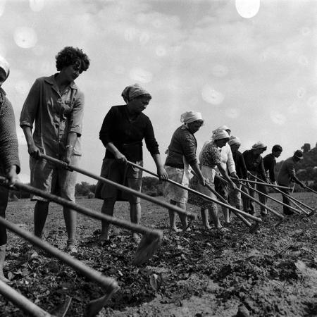 minerva_Agrar_c1_c6r3_024