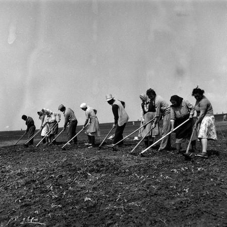 minerva_Agrar_c1_c6r3_025