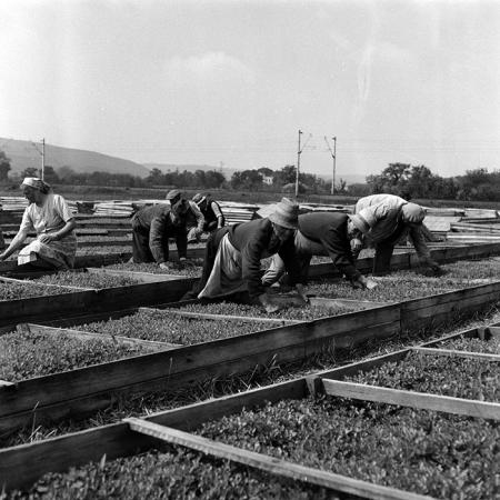 minerva_Agrar_c1_c6r3_030