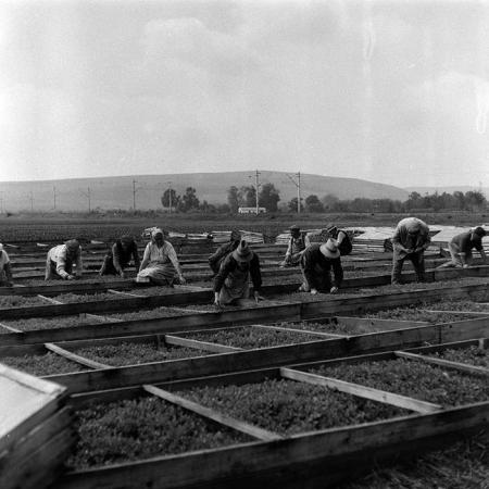 minerva_Agrar_c1_c6r3_032