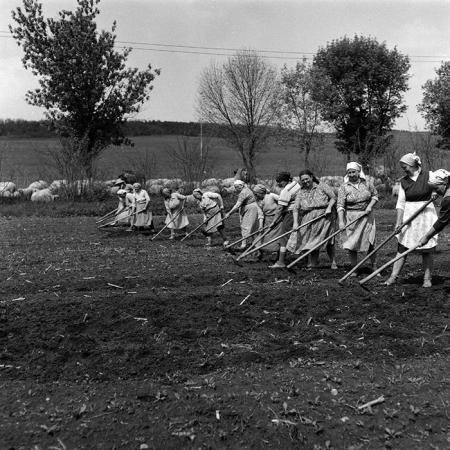 minerva_Agrar_c1_c6r3_034