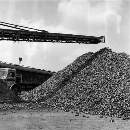 minerva_Agrar_c1_c6r4_008