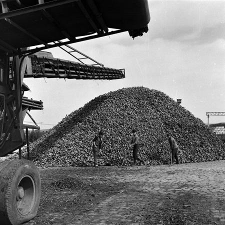 minerva_Agrar_c1_c6r4_019