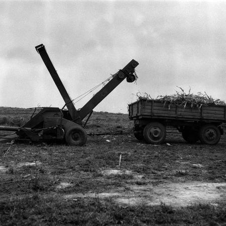 minerva_Agrar_c1_c6r4_023