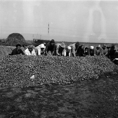 minerva_Agrar_c1_c6r5_015