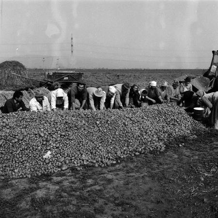 minerva_Agrar_c1_c6r5_016