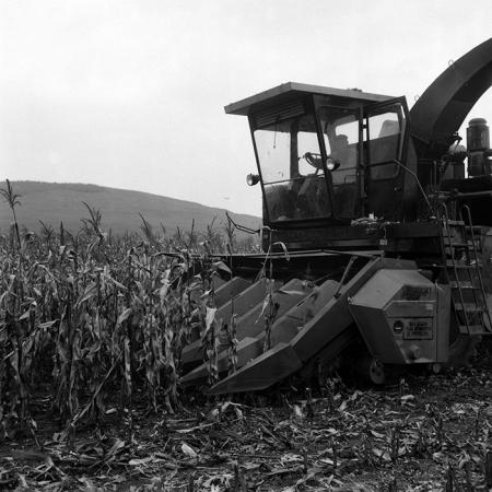 minerva_Agrar_c1_c6r5_027