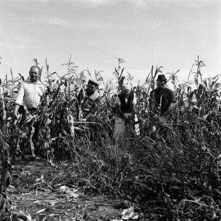 minerva_Agrar_c1_c6r5_041