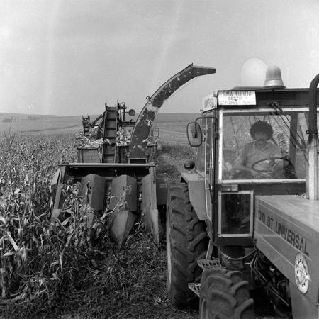 minerva_Agrar_c1_c6r5_050