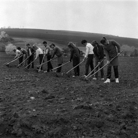 minerva_Agrar_c1_c7r2_002