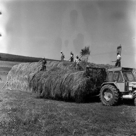 minerva_Agrar_c1_c7r3_003