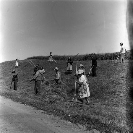 minerva_Agrar_c1_c7r4_006