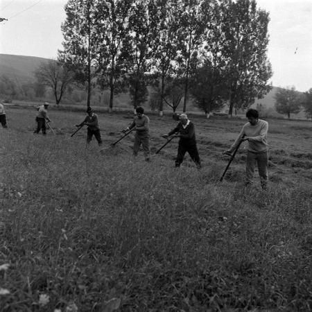 minerva_Agrar_c1_c7r5_009