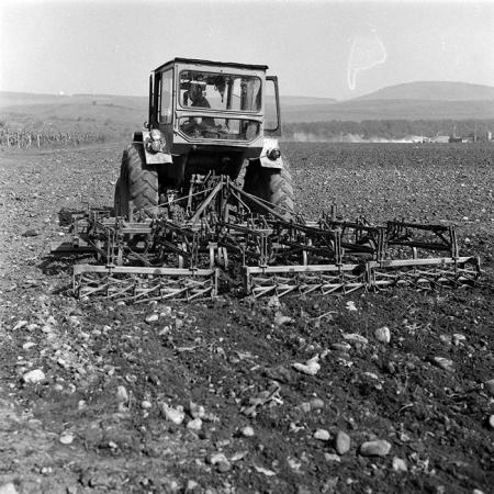 minerva_Agrar_c1_c7r5_011