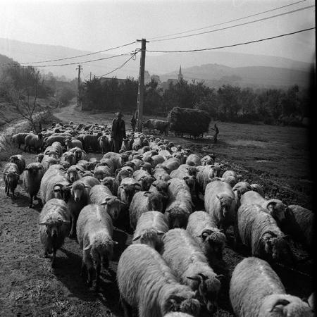 minerva_Agrar_c1_c8r4_002