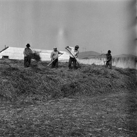 minerva_Agrar_c1_c8r4_005