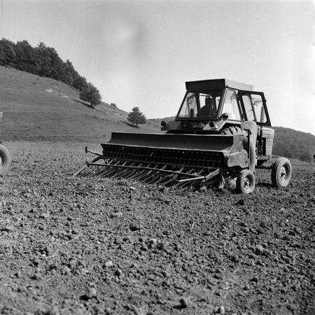 minerva_Agrar_c1_c8r4_006