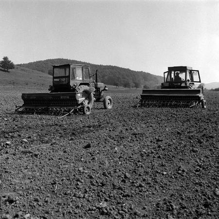 minerva_Agrar_c1_c8r4_007