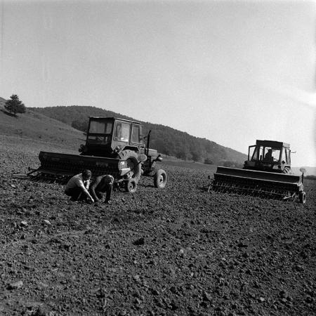 minerva_Agrar_c1_c8r4_009