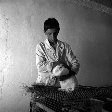 minerva_Agrar_c1_c8r5_025