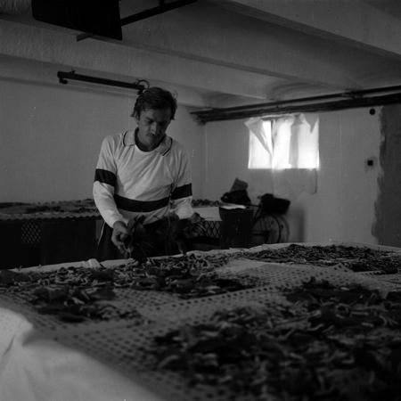 minerva_Agrar_c1_c8r5_027