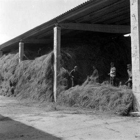 minerva_Agrar_c1_c8r5_029