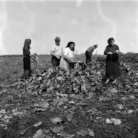 minerva_Agrar_c1_c9r1_014