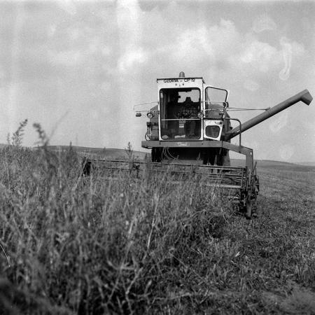 minerva_Agrar_c1_c9r1_017