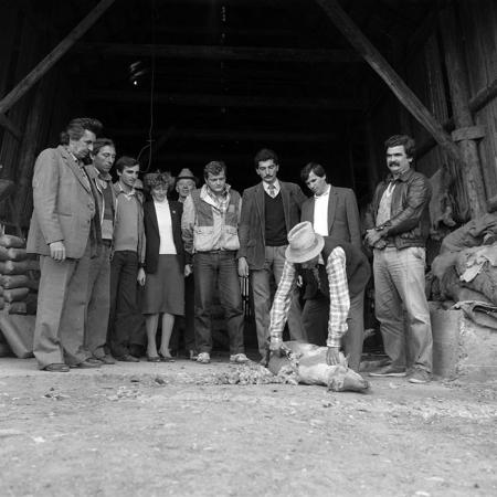 minerva_Agrar_c1_c9r1_035