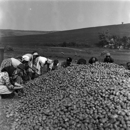 minerva_Agrar_c1_c9r3_002