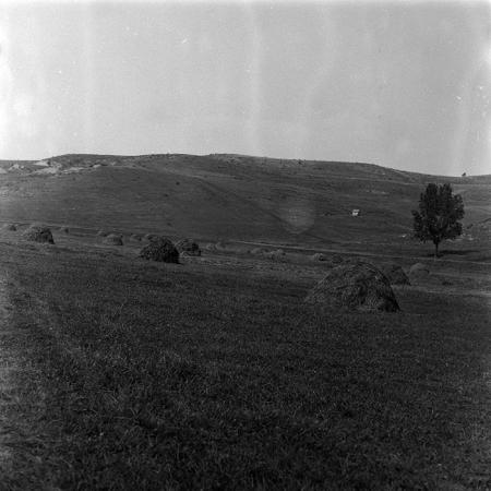 minerva_Agrar_c1_c9r3_003